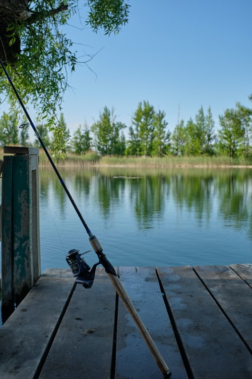 Hayward Fishing